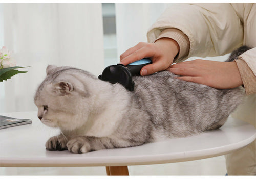 Cats Wool Pet Hair Deshedding Brush Set