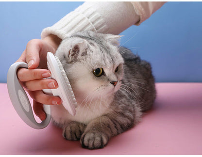 Cats Wool Pet Hair Deshedding Brush Set
