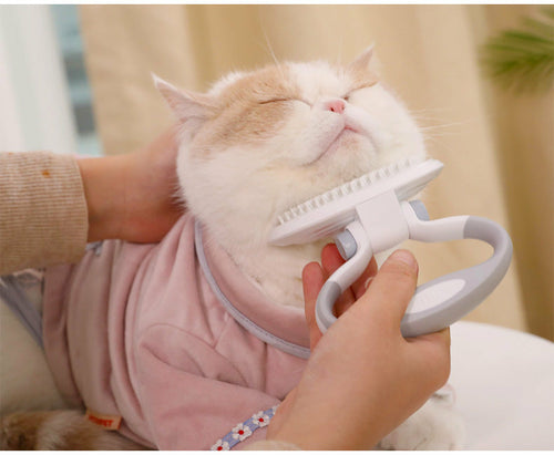 Cats Wool Pet Hair Deshedding Brush Set