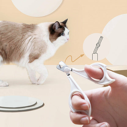 Cats Wool Pet Hair Deshedding Brush Set
