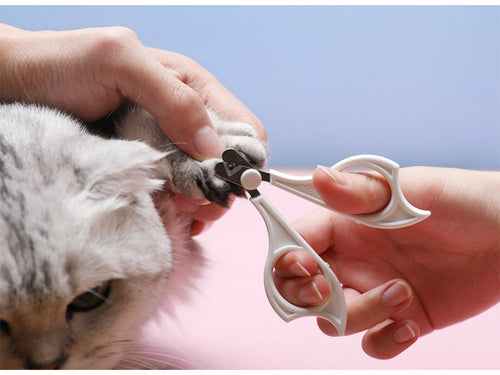 Cats Wool Pet Hair Deshedding Brush Set