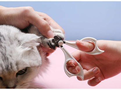 Cats Wool Pet Hair Deshedding Brush Set
